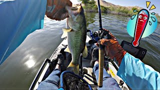 Tough Summer Fishing at Success Lake Porterville, CA