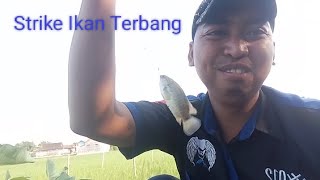 Mancing ikan betok di tambak Karangdowo Klaten (official video)