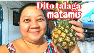 SAAN NGA BA NAKAKABILI NG MATAMIS NA PINYA | Koolet vlogs