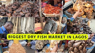 Cheapest and biggest dry fish market in Lagos | Current price | food market | Otto fish market