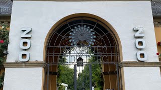 Зоопарк в Германии в небольшом городе Heidelberg