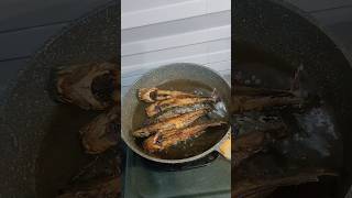 ikan ini enak digoreng? #shorts #short #cooking #resep #recipe #delicious #food #tipsandtricks