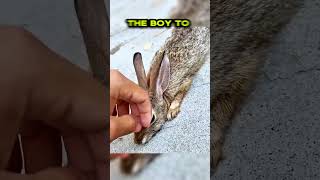 Distressed Bunny At Skatepark Meets Skater Boy 🥹❤️ #animalshorts #animalrescue #shortsfeed #love