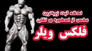 لحظه ثبت عکسی تاریخی از اسطوره‌ی تقارن فلکس ویلر