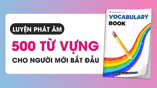 500 TỪ VỰNG CHO NGƯỜI MỚI BẮT ĐẦU | Miss Lan