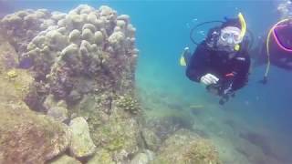 Scuba Diving in Cabo. Private Tour.