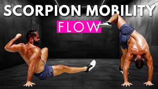 Mobility Flow Functional Training Animal Flow Home Workout Core Exercises Ido Portal Primal Movement