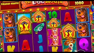 Dog House 💰 TOP MEGA, BIG, MAX WINS OF THE WEEK IN ONLINE CASINO 💰 ONLINE CASH GAMES