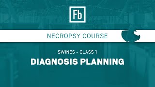 Class 01 - Swine Diagnosis Planning