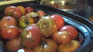 Juicing fresh tomatoes to freeze