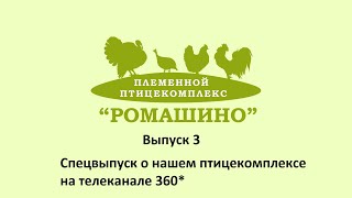 Российские фермеры смогут покупать птиц у своего производителя