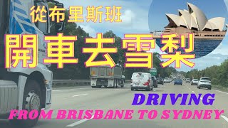 從布里斯班開車去雪梨 DRIVE TO SYDNEY/ 停留THE BIG BANANA FUN PARK/ 過夜在PORT MACQUARIE. /生活旅遊在澳洲第15集