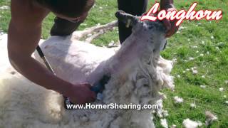 Longhorn 3.2 12 volt battery powered Sheep Shearing machine