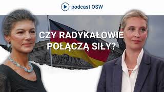 Czy skrajna prawica i skrajna lewica w Niemczech połączą siły? Co łączy i co dzieli AfD i BSW?