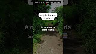 Qual é a fonte da sabedoria? #jesus #deus #vida #gratidão #motivacional #paz  #frases #sabedoria