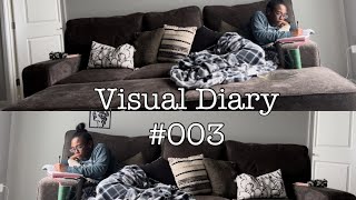 Visual Diary #003 | The Truth About Me Living In My Car | VibrantPeace