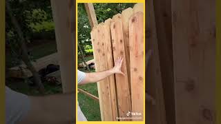 Try This Tip To Make Your Fence Look Better #shorts #diy #fence