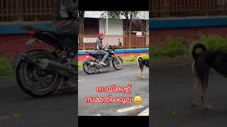 Comedy #shorts #biker #bikestunt fail #shorts