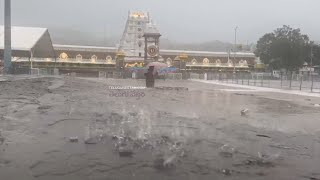 Heavy Rain Again At Tirumala Sri Venkateswara Swamy Temple