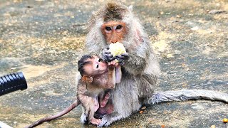 Ah Greatest Actions!, Mother Maya Allows Baby To Join Foods Together