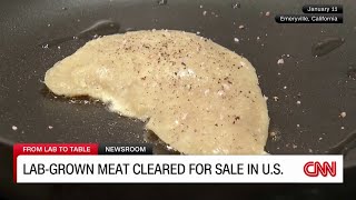 Since USDA Clears Lab-Grown Meat For Sale, People Been Side-Eyeing Their Chicken