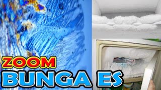 BUNGA ES DI ZOOM 1000X BAGUS TAPI BANYAK BAKTERI