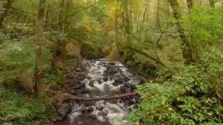 Bridal Veil Falls Trail