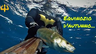 Pesca sub   :    🔱Equinozio d'autunno.(Spearfishing Sardinia)