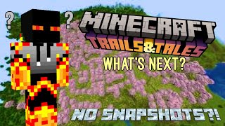 What’s Next For Minecraft 1.20? & Still No Snapshots