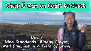 Coast to Coast Day 8: Nine Standards, Bloody Finger and Wild Camping in a Field of Sheep