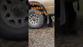 Cat and spare tire under my truck!