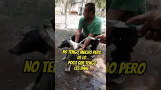 Estos perritos ya no sufriran mas 😭😭