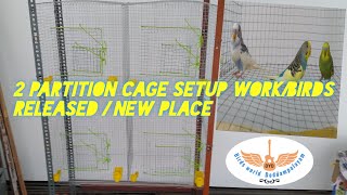 2 partition cage setup work/birds released/birds world Doddampalayam