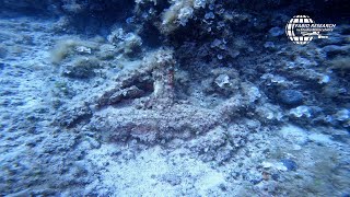 CARICO DI UNA NAVE ROMANA: naufragio a Marina di Leporano