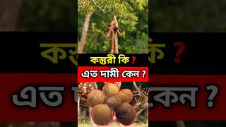 কস্তুরী এত দামি কেন ?🤔😱 || #shorts #viral #short #দামি কস্তুরী