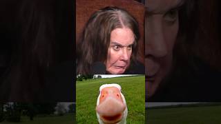 The DUCKS are out to get us 🦆👀#ozzyosbourne #theosbournes #theosbournespodcast