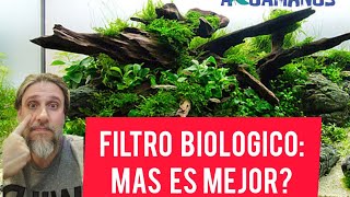 Filtración biológica... más es mejor? 🦠🦠🦠