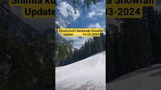 Shimla Narkanda Snowfall Update 14-03-2024#shimlaweather  #update#snowfallupdate #shimla#snowfall