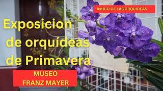 Museo Franz Mayer, Exposición de Primavera