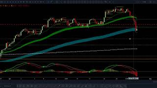 OIL weekend Update April 28, 2019