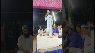 Shayari Hindustan || Hafiz Anas Qadri || Labbaik ya rasool allah 🥰🥰|| #shorts #love #trending#video