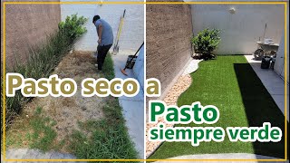 Cambio de Pasto natural seco por un Pasto  Sintético Siempre verde