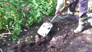 Digging Sweet Pea Trenches | Garden Ideas | Peter Seabrook