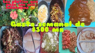 Gasto semanal de $500 L-V (desayuno, comida, cena) 🥗🥞🥒🥙