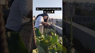 #the_home_botanist #gardening #shortvideo #youtubeshorts