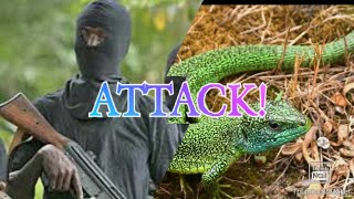 Gunmen with a conscience and Duppy Lizard attack!