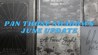 PAN THOSE SHADOWS | June Update | Let's Refresh!