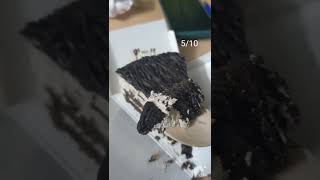 Sweet Truth salted caramel cake review #ytshorts #cake #sweet truth #review