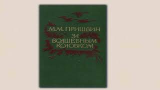 «И творчество, и чудотворство: о прозе М. М. Пришвина»