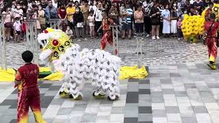 Acrobatic lion dance performance at TRX Exchange on 28.01.2024